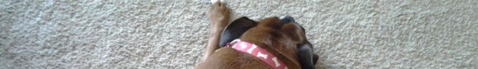Roxy Needs Pilladia